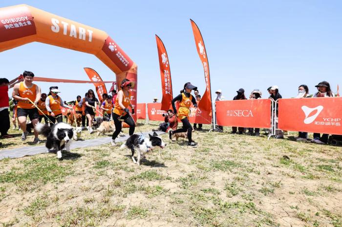 2024狗巴迪勇士赛首站苏州